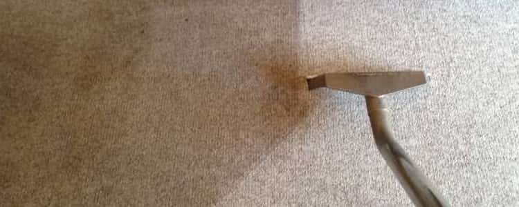 Best End of Lease Carpet Cleaning Glenelg